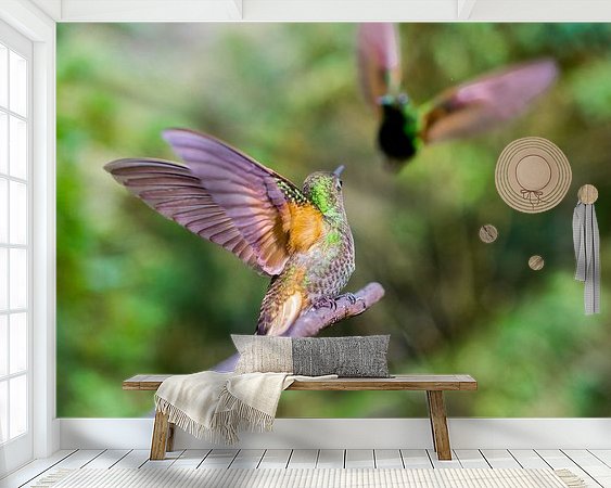 Aperçu de la chambre