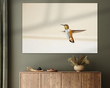 Canadese Kolibrie van Emile Kaihatu