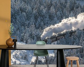 Harzer Schmalspurbahn im Winter von Patrice von Collani
