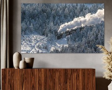 Harz narrow-gauge railway in winter by Patrice von Collani