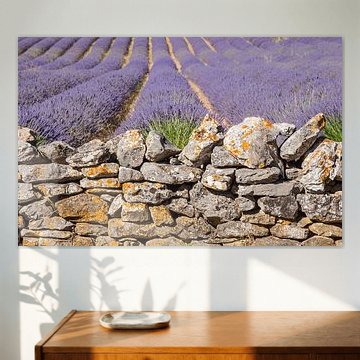 Lavender wall