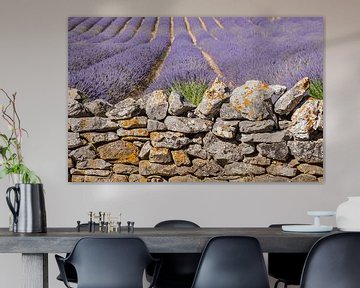 Lavender wall