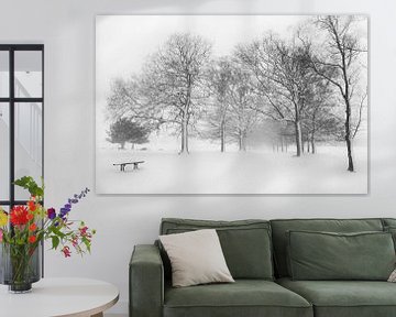 Winter in Holland van Tom Kraaijenbrink