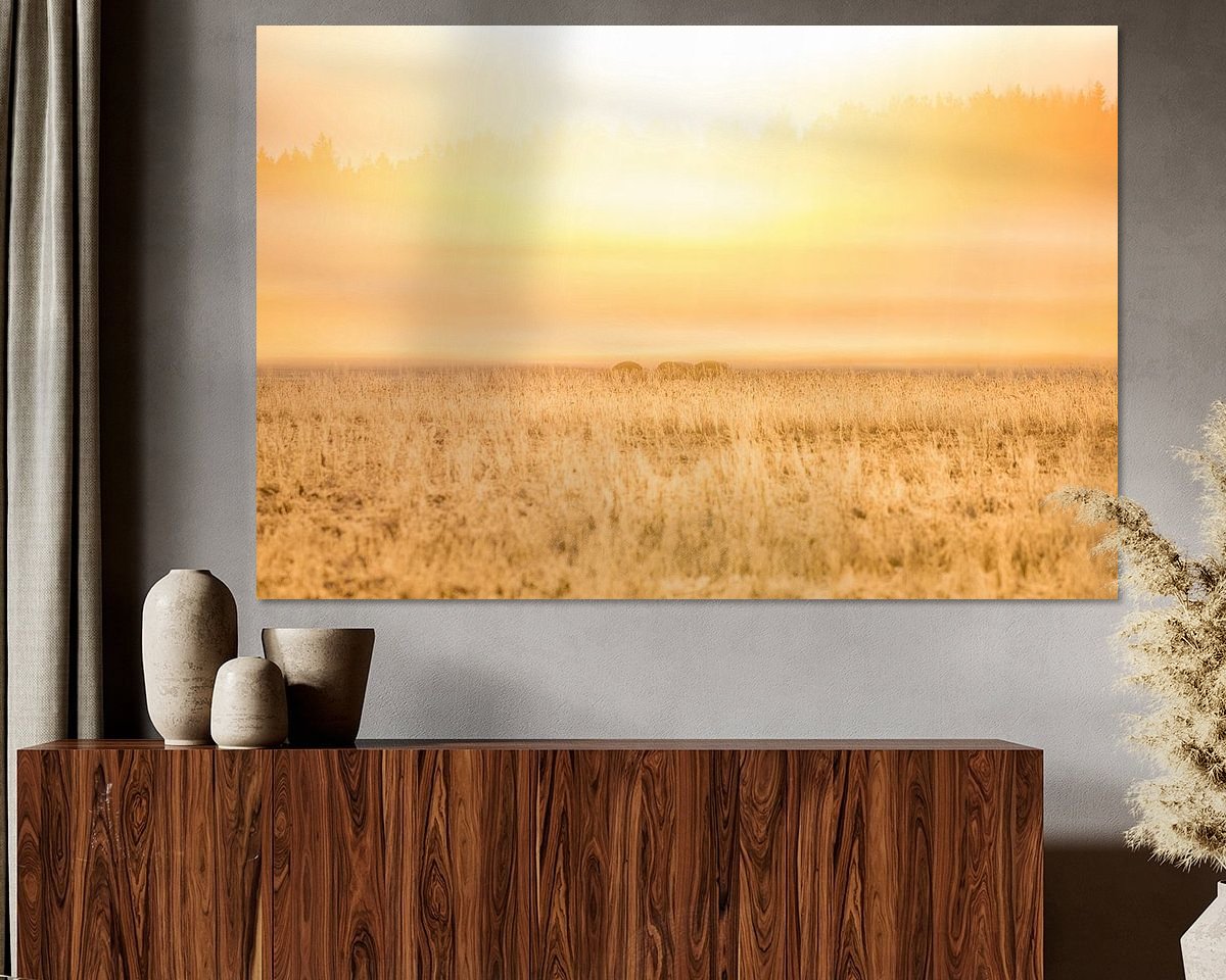 Voorbeeld van het werk in een kamer