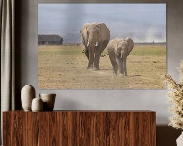 Africa | Elephants on the Savanne - Africa Kenya Amboselli sur Servan Ott