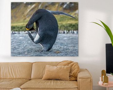 penguin yoga by Robert Riewald