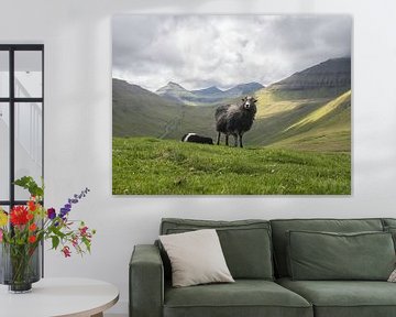 Faeröer Sheep van Mark Leek