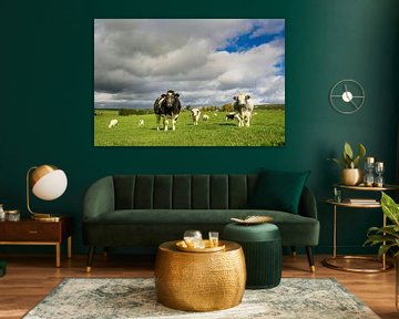 Cows in the meadow by Nick van Dijk