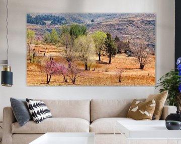 Lesotho by Cor de Bruijn