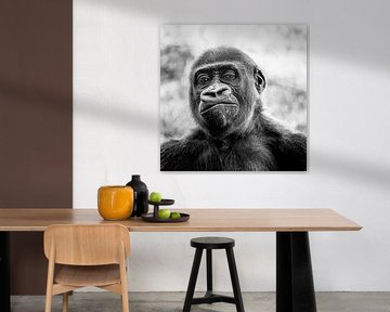 Wer ist der Affe? von Ines van Megen-Thijssen