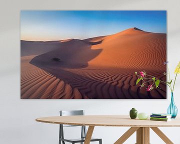 Desert shadow by Photo Wall Decoration