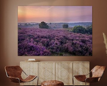 Purple Landscape by Jimmy Sorber
