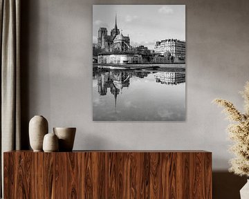 Notre-Dame reflectie aan de Seine van Michaelangelo Pix