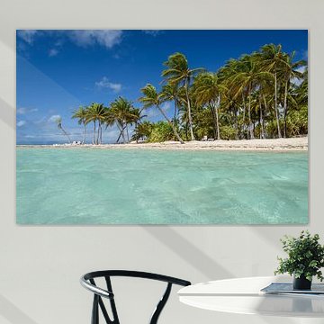 Paradis sur Ellen van den Doel