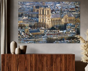 Notre Dame de Paris van Michaelangelo Pix