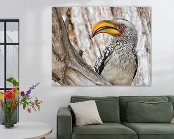 Yellowbilled hornbill by Cor de Bruijn