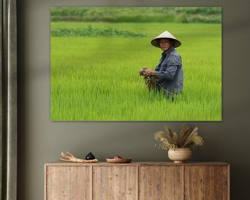 Vietnamese man in rice field by Richard van der Woude
