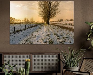 Winters polder landschap van Ruud Morijn