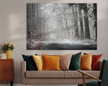 Winterwandeling in het bos by Paul Muntel