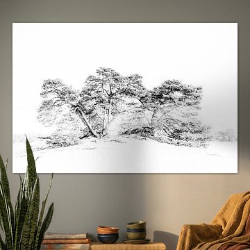 highkey in de natuur