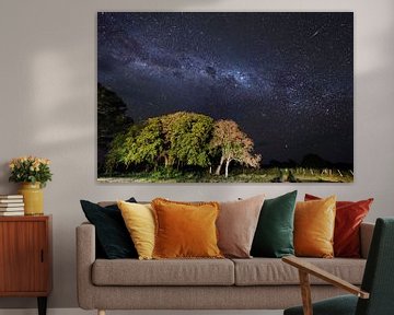 Melkweg Pantanal  von Leon Doorn