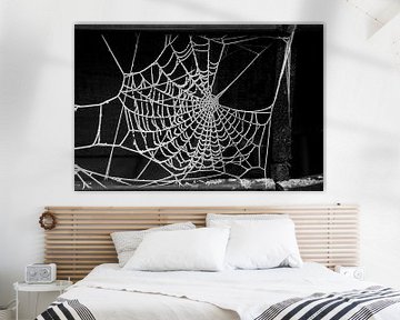 Spinnenweb in de winterkou van Nel Wierenga