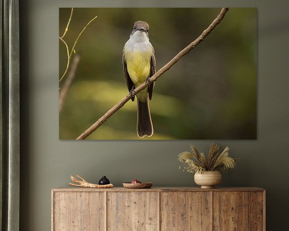 Aperçu de la chambre