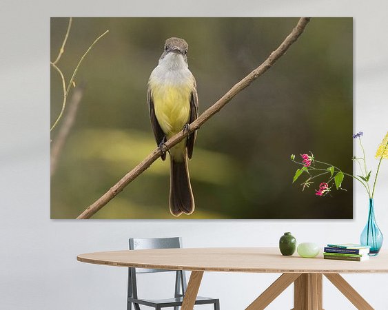 Aperçu de la chambre