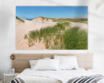 Dunes at the North-Holland Dunes nature reserve, beach and the North Sea, Bergen aan Zee, Holland, N