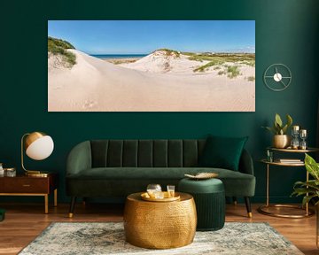 Dunes de Het Noordhollands Duinreservaat, plage et mer du Nord, Bergen aan Zee, Noord-Holland, Ned sur Rene van der Meer