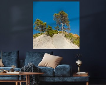 Anse de l’Arlene, Cassis, Bouches du Rhône, Frankreich von Rene van der Meer