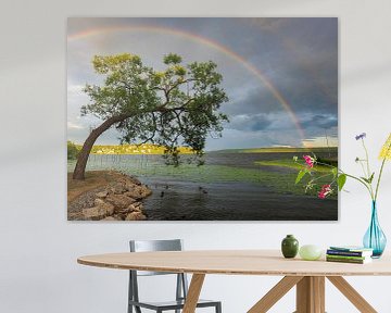 Rainbow by Bert Cornelissen