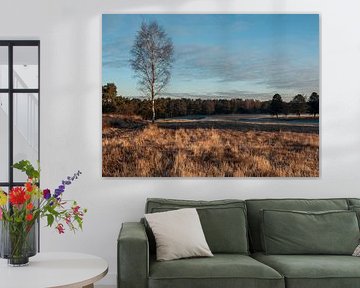 Winterlandschap