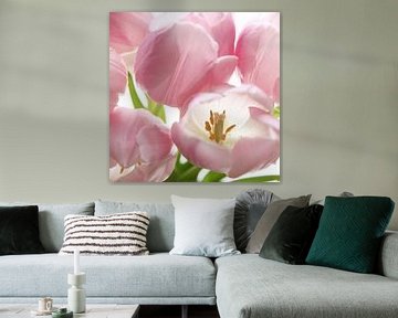 Tulpen macro van Herman Peters