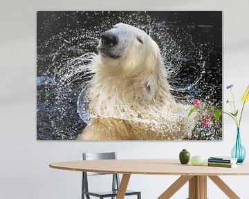 "Because I’m worth it!", a portrait of polar bear who appears to be auditioning for a sham