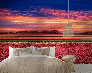 Colorful bulb fields by eric van der eijk