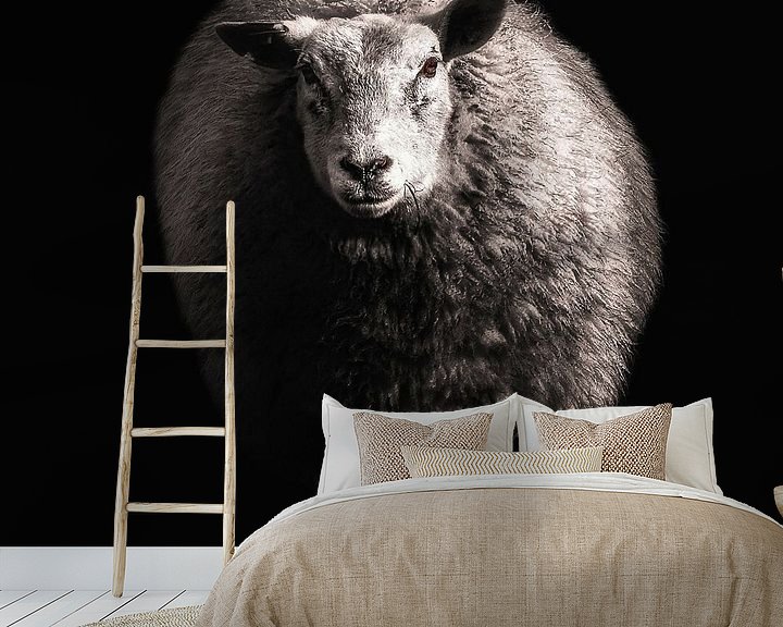 Beispiel fototapete: Schaf von Ines van Megen-Thijssen