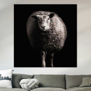 Schaf von Ines van Megen-Thijssen