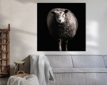 Mouton sur Ines van Megen-Thijssen