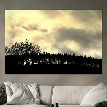 Loofbomen op een berg (boomgrens)