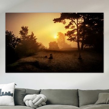 Soesterduinen in de mist