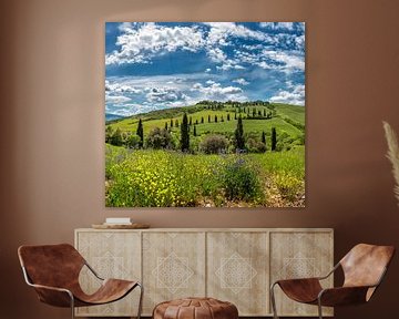 Val d’Orcia, Castelluccio, Toscane, Italië van Rene van der Meer