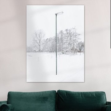 Die einsame Schneestange, 2017