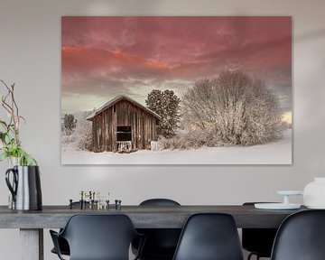 Een winterse dag in Zweden van Hamperium Photography
