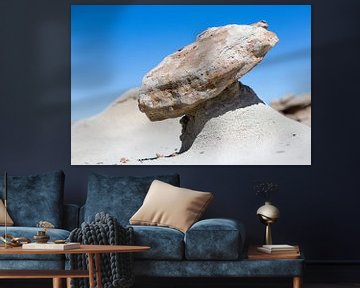 Bisti Wilderness Area - Bisti Badlands - Balanced Rock sur Guido Reijmers