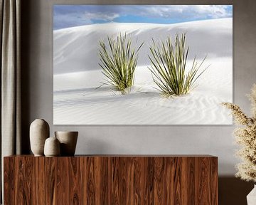 Gypsum sand dunes at White Sands National Monument - New Mexico by Guido Reijmers