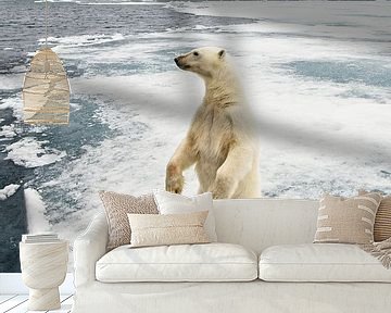 Staande ijsbeer op ijsschots van Dirk-Jan Steehouwer