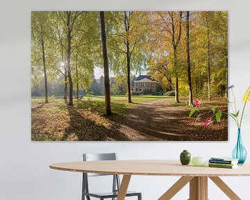 Holzweg in den Herbstfarben, Landgut, s-Graveland, Nord-Holland,, die Niederlande von Rene van der Meer
