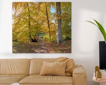 Holzweg mit Brücke in den Herbstfarben, Landgut Jagtlust, s-Graveland, Noord-Holland,, die Niederlan von Rene van der Meer