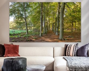 Boslaan in herfstkleuren, buitenplaats Land en Bosch, s-Graveland, , Noord-Holland van Rene van der Meer